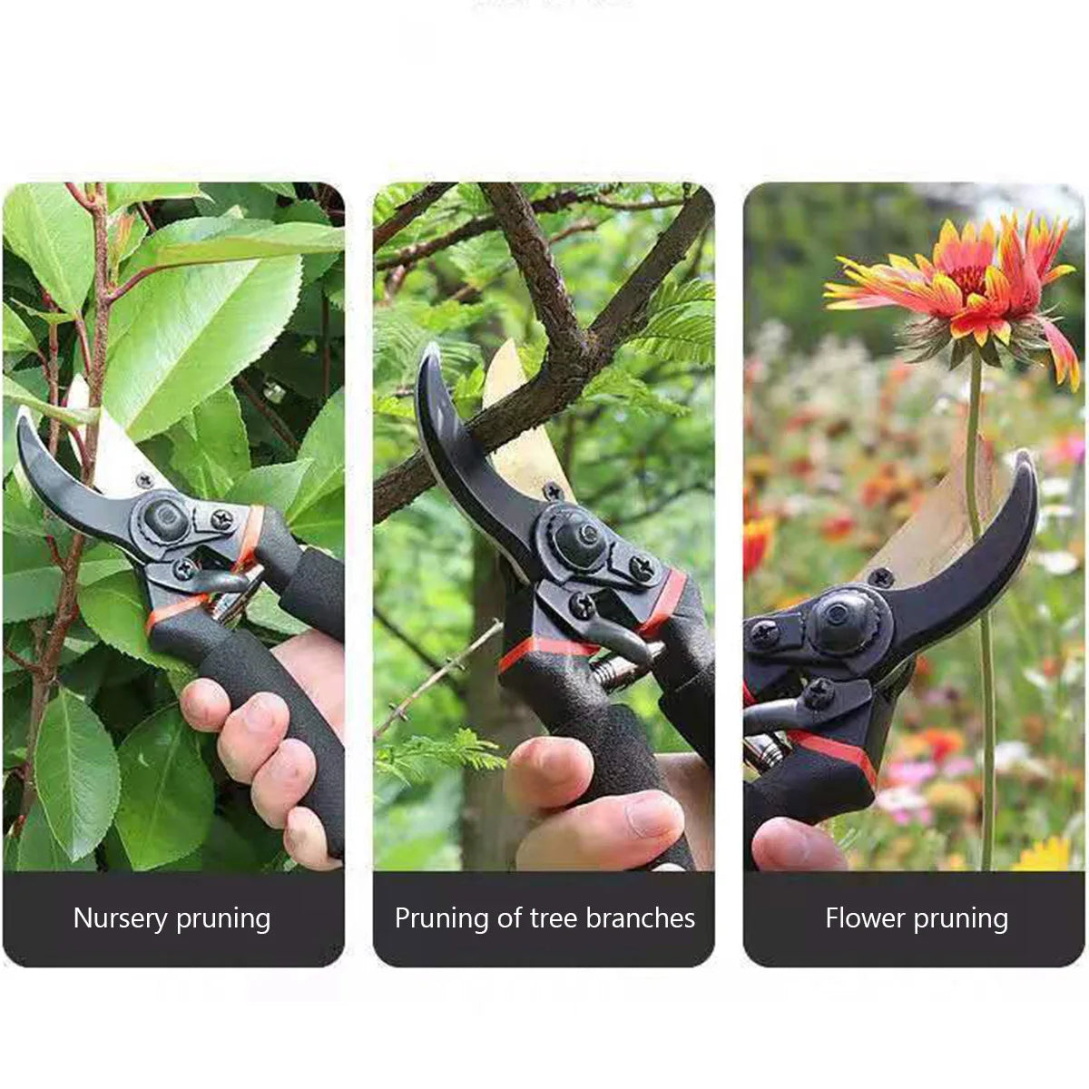 Professional Titanium Bypass Pruning Shears Garden Hand Pruners Lightweight Ergonomic Non-slip Handles SK-5 Steel Durable