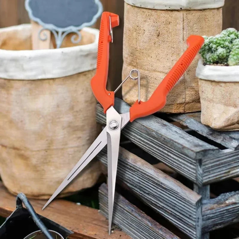 Pruning Shears Grape Scissors Garden Tool Vegetable Patch Bonsai Professional