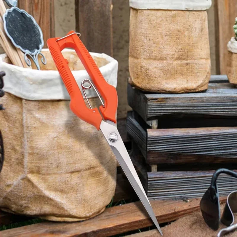 Pruning Shears Grape Scissors Garden Tool Vegetable Patch Bonsai Professional