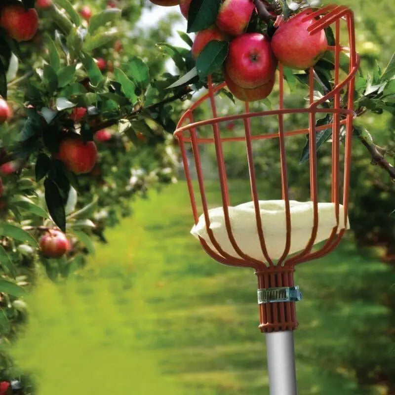 Fruit Picking Machine Fruit Collection Picking Catcher Device Is Practical And Convenient Fruit Picking Machine Gardening Tool